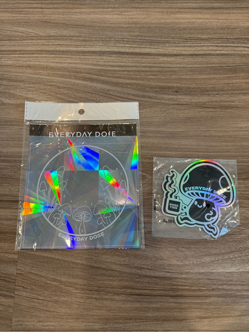 Everyday Dose Holographic Window Sticker & Magnet Set - Rainbow Shine